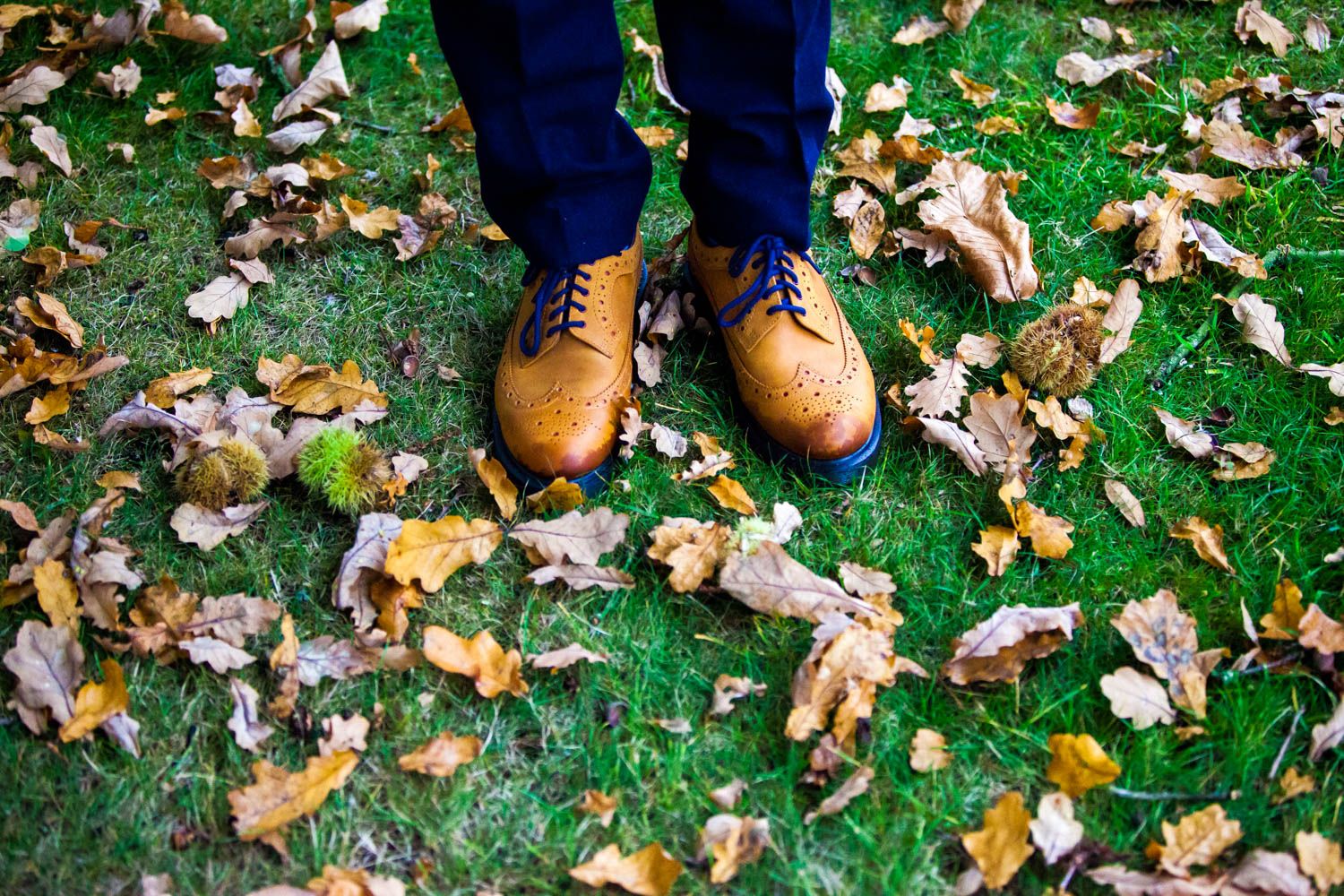 Featured image for “October Weddings at Pendrell Hall”