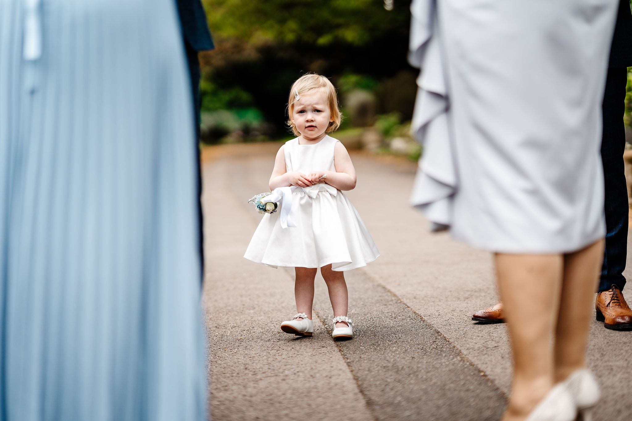 Featured Image for “Picking the Perfect Ring Bearer”
